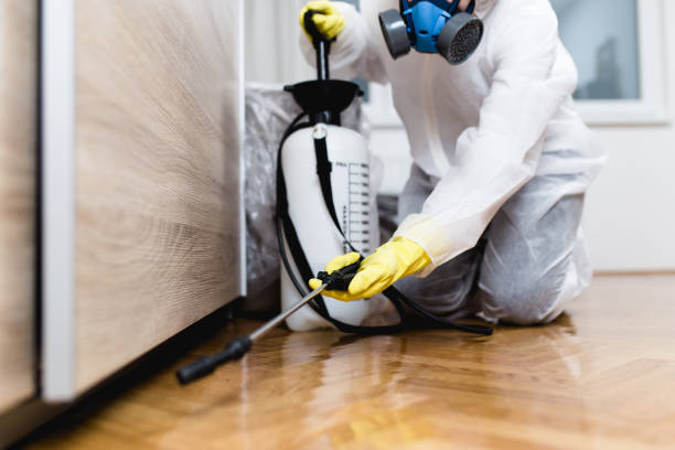Best Best Pest Control Companies  in Carlisle, KY