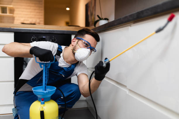 Best Pest Prevention Services  in Carlisle, KY