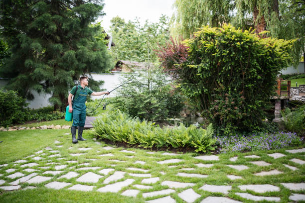 Best Pest Inspection Near Me  in Carlisle, KY
