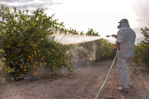 Best Affordable Pest Control Services  in Carlisle, KY
